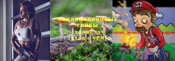 каннабис Алзамай