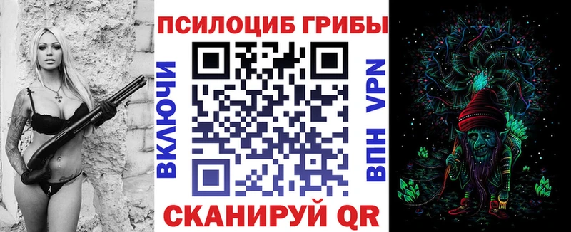 Псилоцибиновые грибы GOLDEN TEACHER Сокол