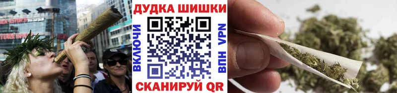 Шишки марихуана план  наркотики  Сокол 